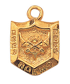 기습특공메달